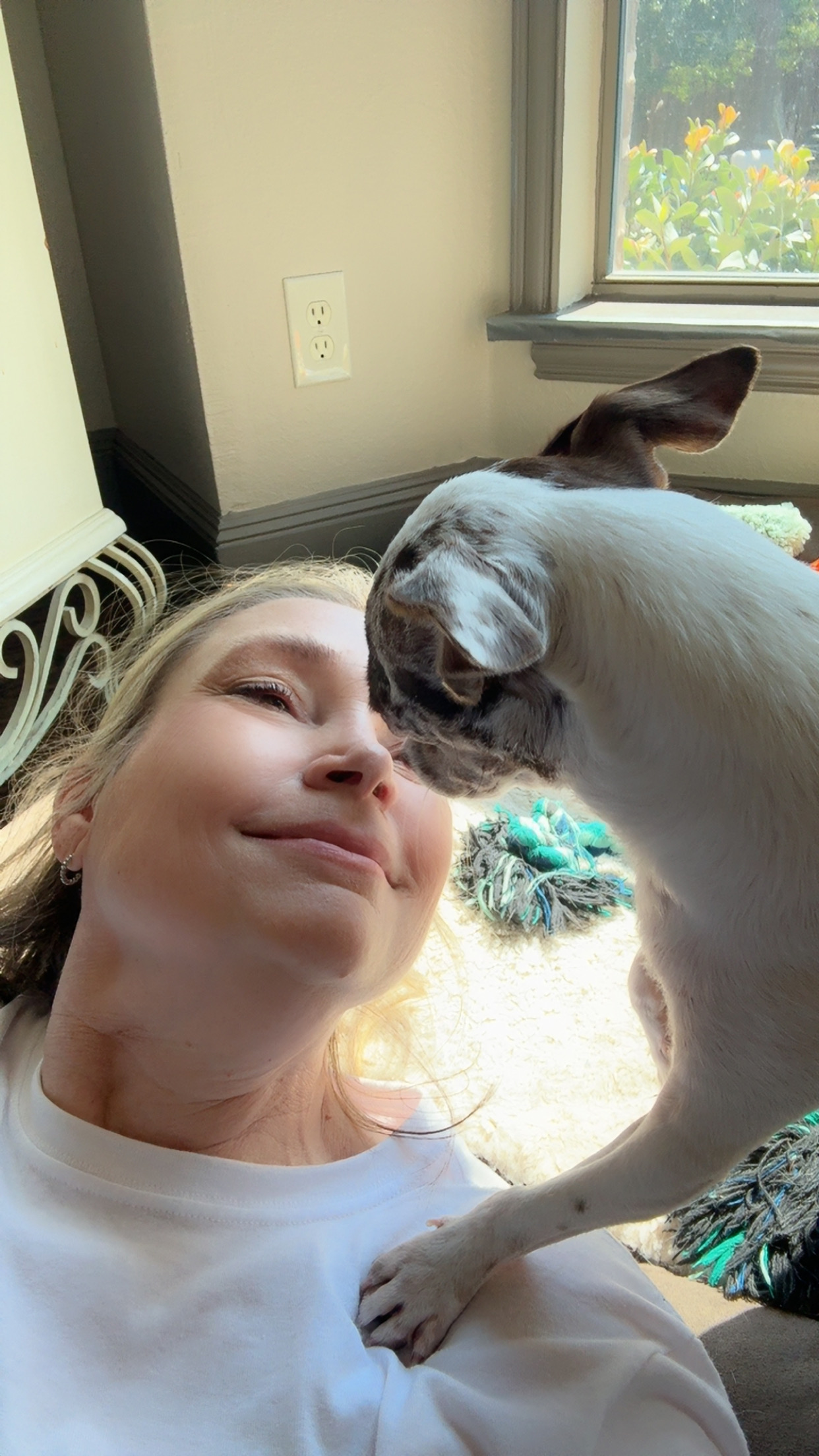 Confessions of a Pet Sitter - Things Your Pets Do When You’re Not Home