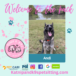 uploaded using Admin Portal