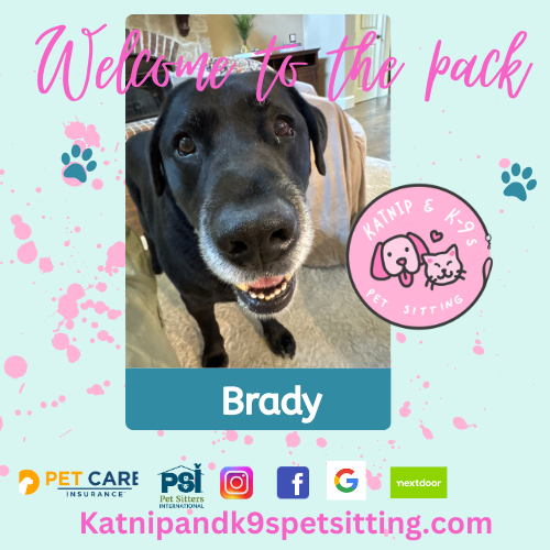 uploaded using Admin Portal