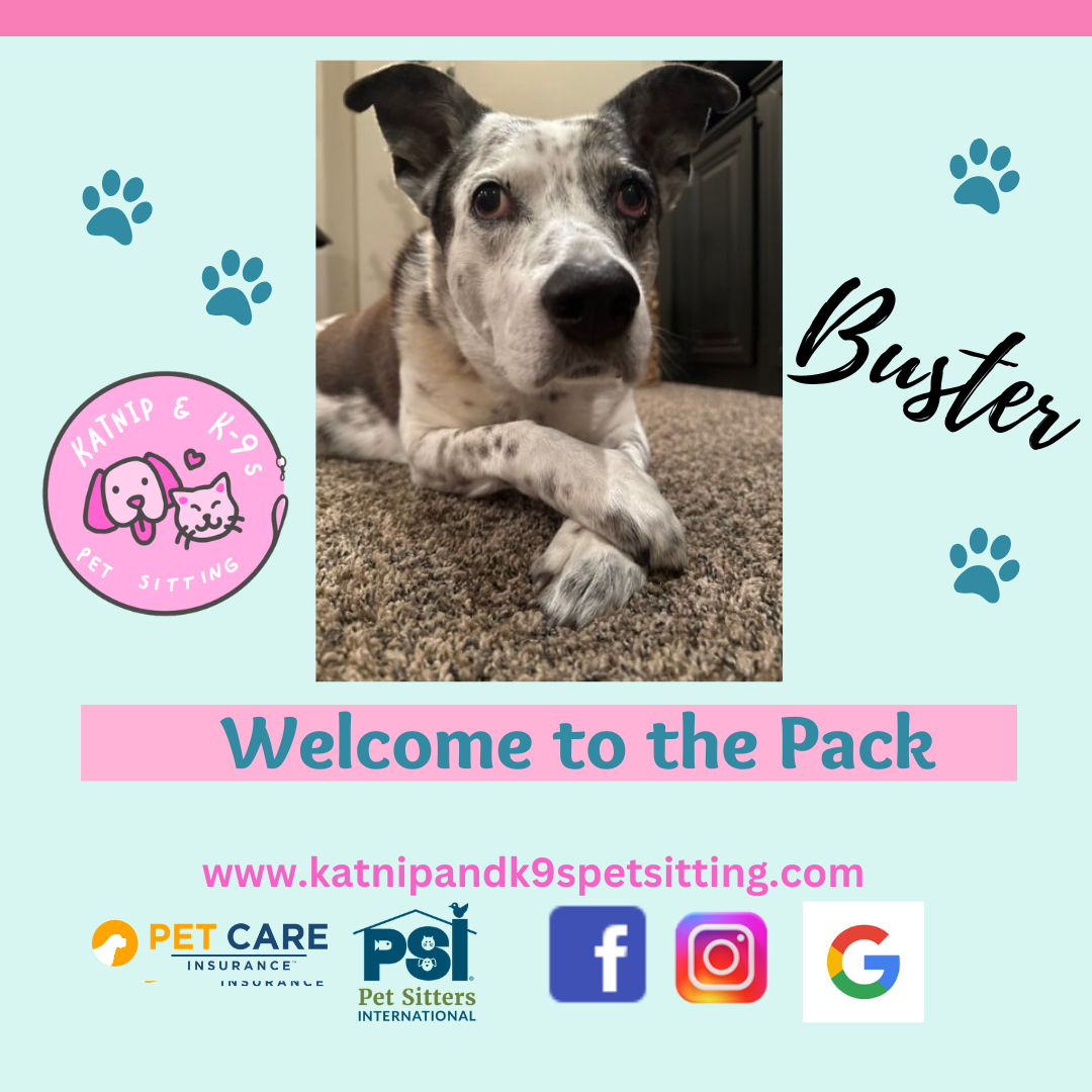 uploaded using Admin Portal