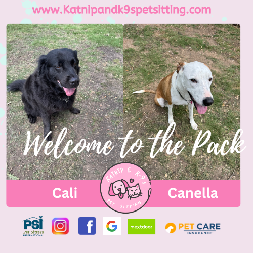 uploaded using Admin Portal