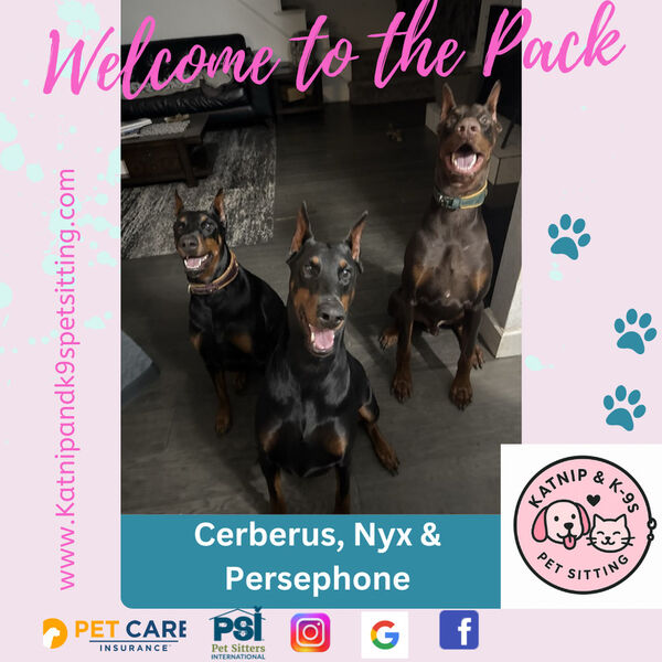 uploaded using Admin Portal