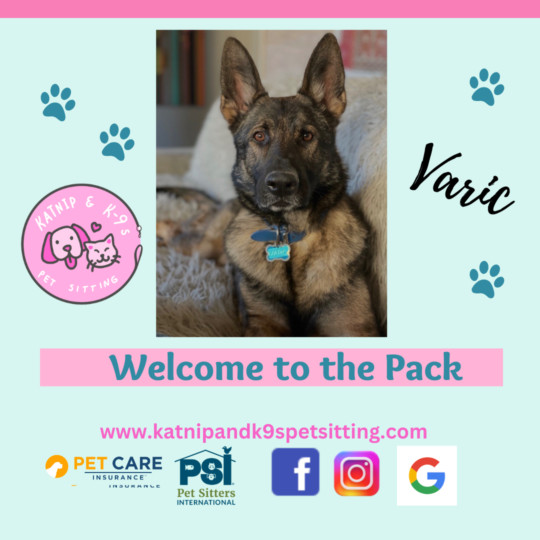 uploaded using Admin Portal