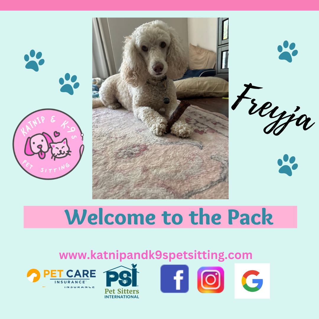 uploaded using Admin Portal