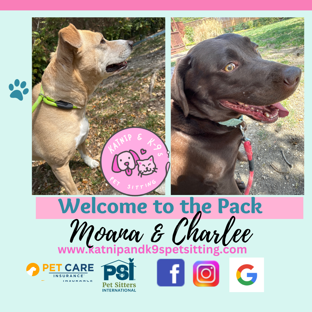 uploaded using Admin Portal