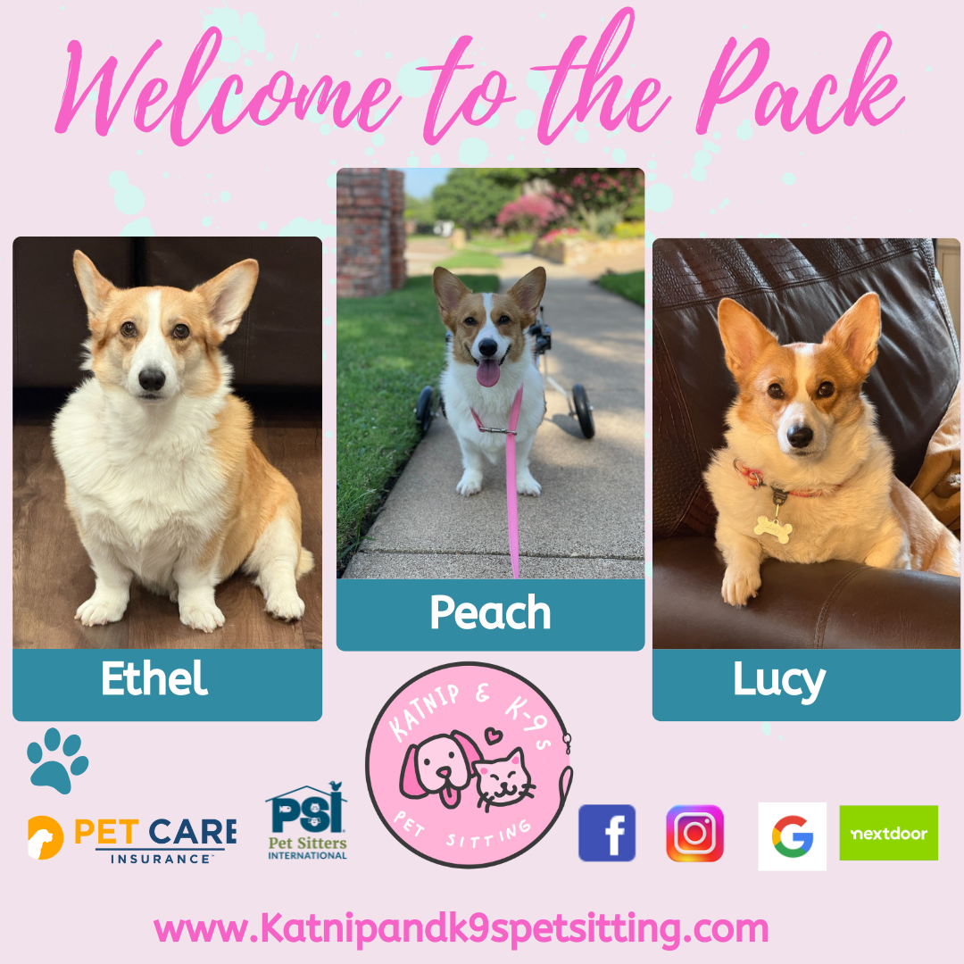 uploaded using Admin Portal