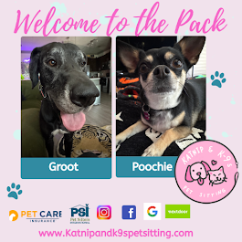 uploaded using Admin Portal