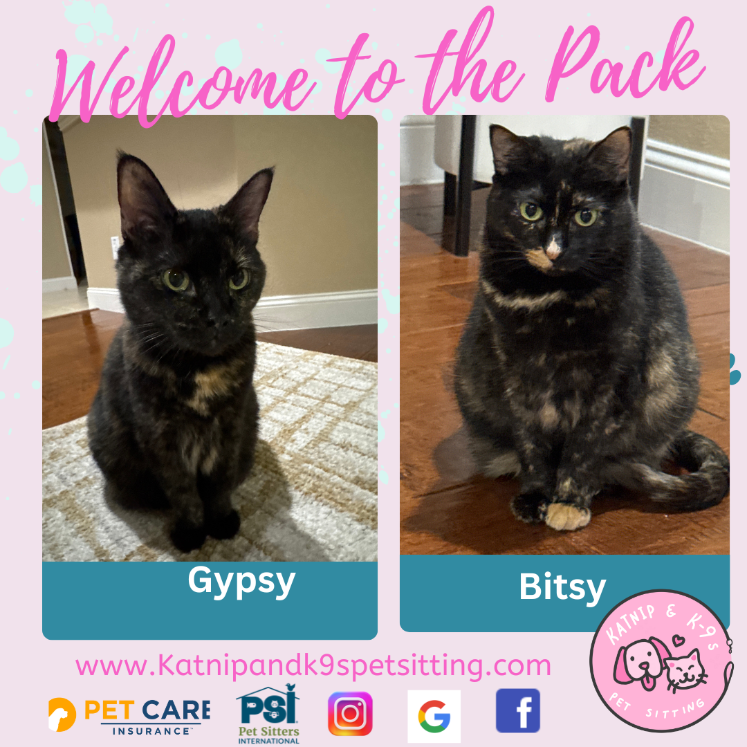 uploaded using Admin Portal