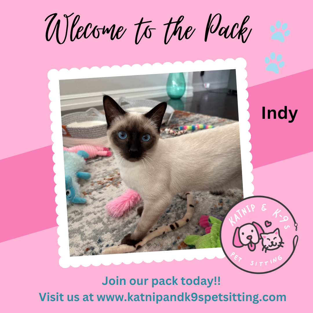 uploaded using Admin Portal