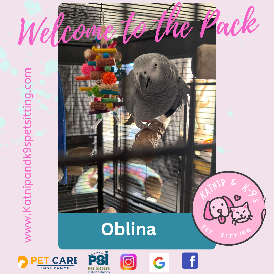 uploaded using Admin Portal