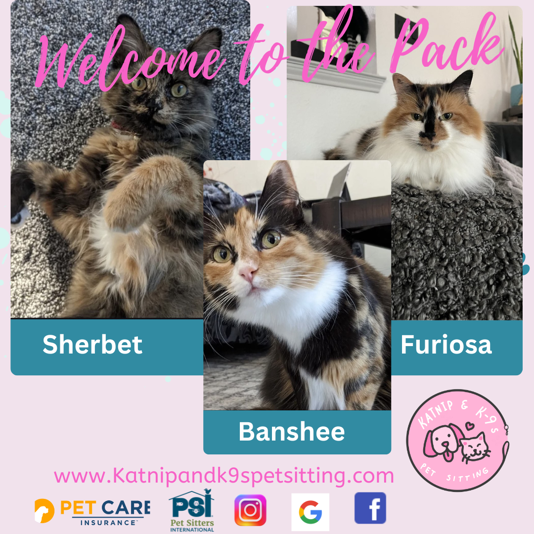 uploaded using Admin Portal